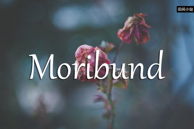 小词详解 | moribund