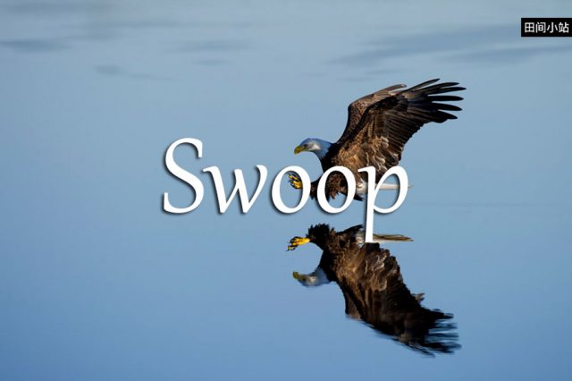 小词详解 | swoop