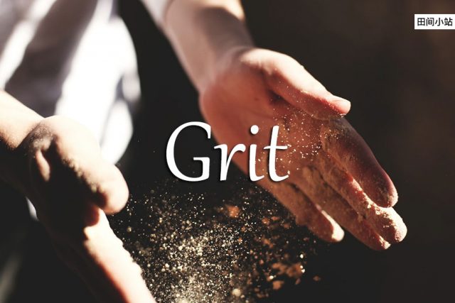 小词详解 | grit