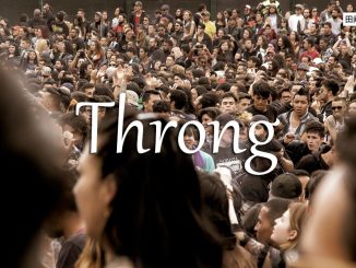 小词详解 | throng