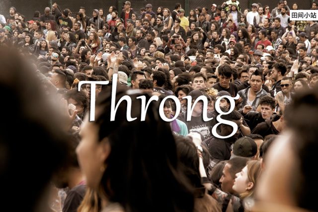 小词详解 | throng