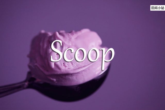 小词详解 | scoop