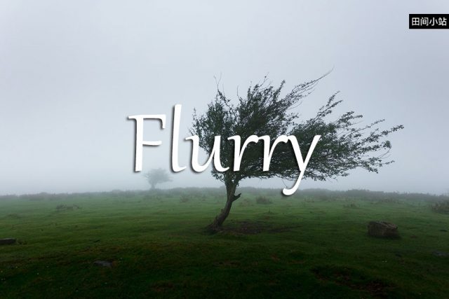 小词详解 | flurry