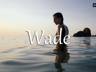 小词详解 | wade