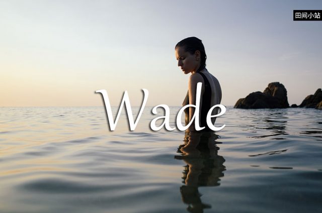 小词详解 | wade