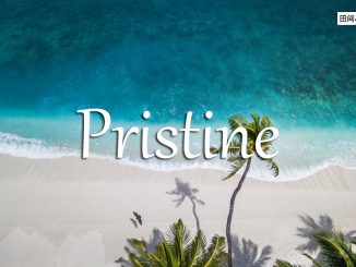 小词详解 | pristine