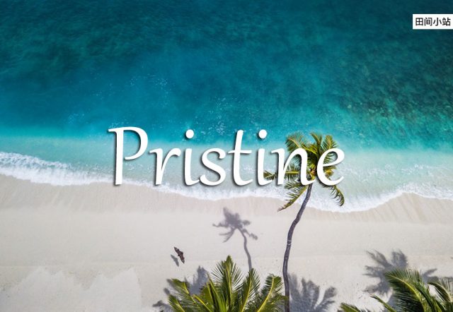 小词详解 | pristine