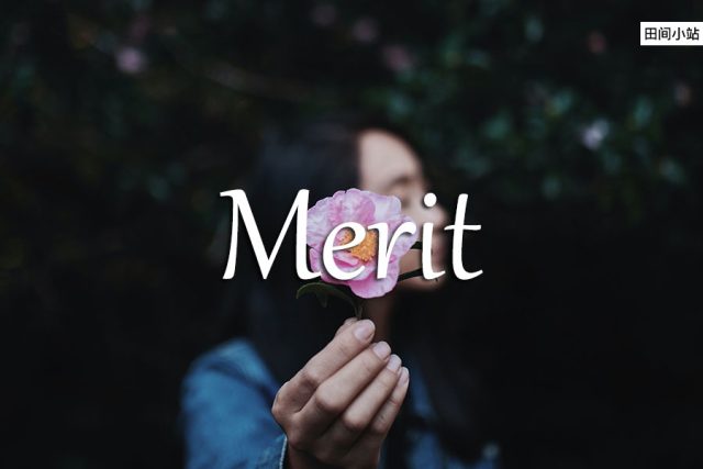 小词详解 | merit