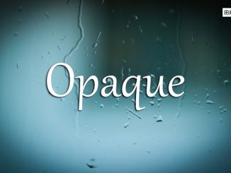 小词详解 | opaque