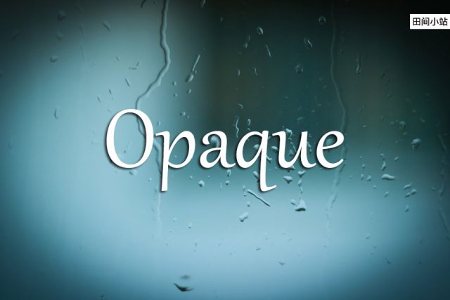 小词详解 | opaque