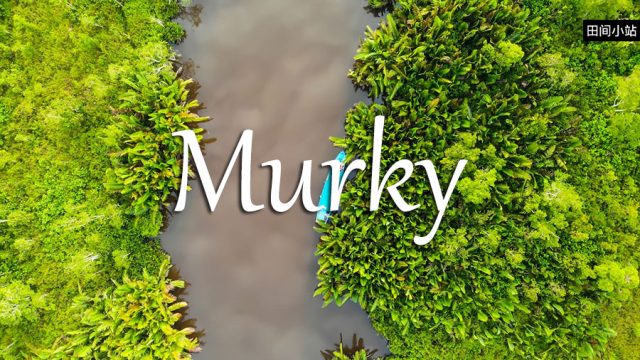 小词详解 | murky