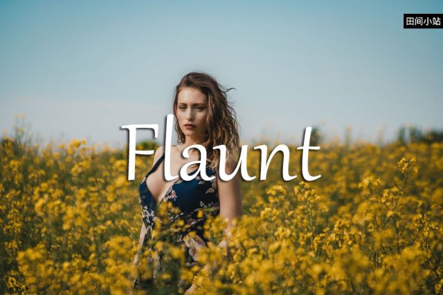 小词详解 | flaunt