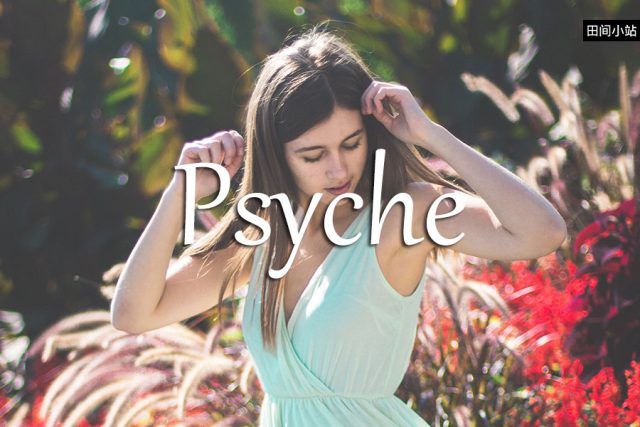 小词详解 | psyche