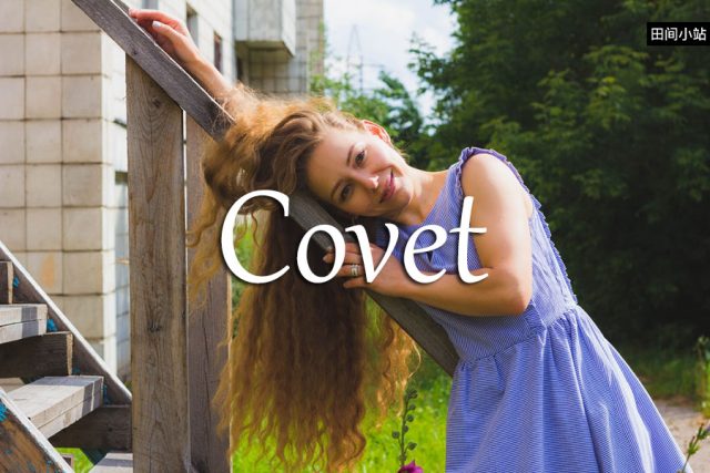 小词详解 | covet