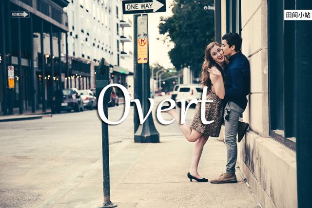 小词详解 | overt