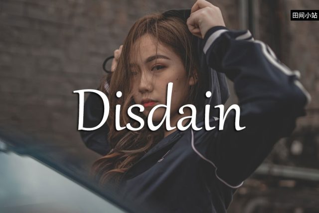 小词详解 | disdain