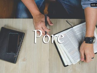 小词详解 | pore