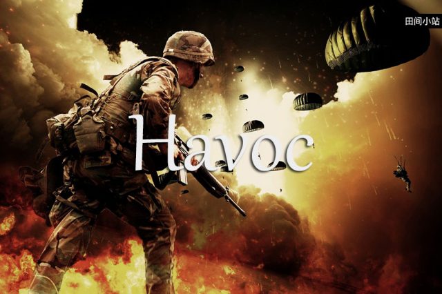 小词详解 | havoc