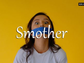 小词详解 | smother