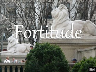 小词详解 | fortitude