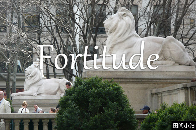 小词详解 | fortitude